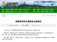 正排险!湖北一地发生山体塌方,已致1人遇难