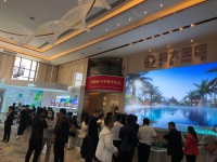 沈阳人抢爆了!这波福利引爆沈北置业狂潮