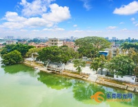 东莞乡村振兴进行时|万江滘联:绿水交融 亦城亦乡