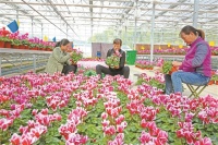 花开幸福来 小康路上跑