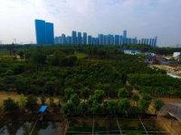 这个城市打响节后楼市调控第一枪！诱因或是土拍高溢价抬头