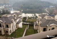 亏900万元!重庆独栋大别墅&ldquo;割肉&rdquo;甩卖