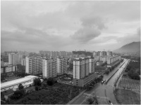 青海省高原美丽城镇示范省建设正式迈进实质性实施阶段