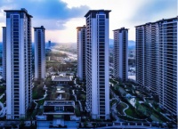 金辉控股再夺四项金盘大奖,产品力持续收获市场认可