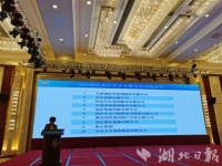 2020湖北省民营企业100强名单!入围门槛29.17亿元