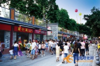 东莞乡村振兴进行时|&ldquo;握手楼&rdquo;变商业街 打造特色精品示范村