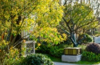 无锡龙湖天璞|优质园境 时刻畅享鲜氧绿意