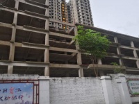 海南烂尾楼遍布各地,该如何治理?