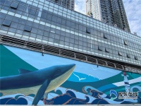 好美!大马路下沉通道艺术美化完工