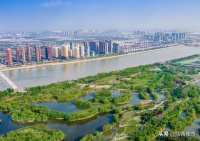 龙湖春江天序|纯粹洋房住区,公园之上的舒居生活