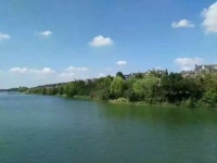 保利西塘越火爆背后的真像?