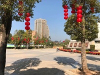 潼侨计划选址6个区域,作为城市更新单元!