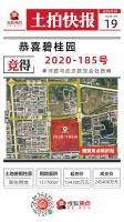 临沂2020-185号土拍快报