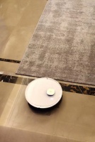 让女孩子永远18岁的秘诀竟然是扫拖一体机！