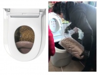 无水免冲生物降解马桶推动厕所革命 实现粪便无害化处理