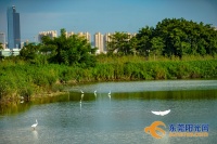 宜居宜业宜游!水乡幸福生活是这样打造出来的......