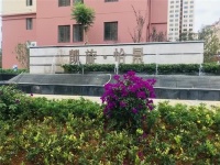 石林三室户型多少钱?凯旋怡景,119平成交单价3653元/㎡