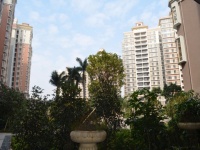 广州楼市:哪些片区具有潜力?看完一目了然!