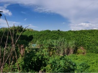 超1.3亿元成交!坚基再拿钓鱼台片区一宗商住地块