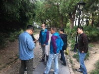 2.1米长的眼镜王蛇惊现上海一小区已被处置,或为居民饲养