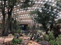 太原植物园开放时间调整!