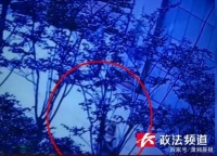 24岁女子被坠楼女孩砸成重伤 法院判定坠楼者父母赔偿77万