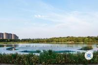 山湖意趣 将居住进阶成为真正的生活!