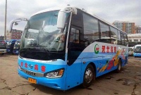 张家口直达北京大兴机场!客运班线运营时间、地点、票价都定啦!