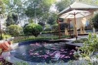 【多图发布】蓝花谷45&deg;温泉小镇团购优惠折...