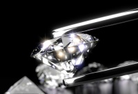 用时光凝聚美好,绽放心中的蓝图