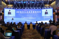 国内首个蓝碳主题实验基地落户南海新区