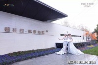 区位+大产业区#碧桂园枫景尚院#环沪桥头堡!