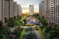 花园秘境,让人羡慕的洋房