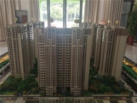 广州楼市:这类楼盘值得入手吗?会不会高位站岗,看完放心了