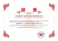 德商天置业深耕区域发展,德商锦江天玺增添新力量