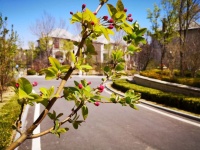 怀来楼盘拉斐水岸开发商是谁_拉斐水岸开发商介绍-怀来..