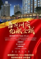 大理海上明月 纯板式名邸 州庆特价房源 限时发售 分秒递减