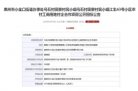 德商集团首次进入惠州,成都德商集团中标江北村企合作项首进惠州