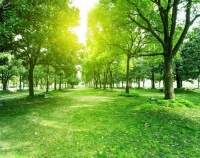 为美好而来 | 新江北孔雀城,用智能环保创造美好生活