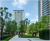 龙湖尘林间12.12狂欢模式开启