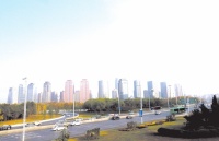 单双号限行首日郑州被刷屏!车主:车少得像过年