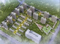 实地青岛蔷薇国际:无接触智能服务成刚需