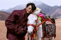 闯进城市的迷宫|你和你的白马,可有归处?