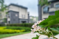 有被实地天津海棠雅著的园区景观惊艳到!!!