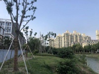 宝山绿地海樾&mdash;&mdash;宝山绿地海樾&mdash;&mdash;欢迎您