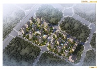 以"森林之城"为主题 城投集团2020年重要力作