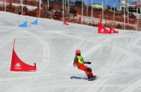大同市精英滑雪公开赛暨滑雪队选拔赛举行