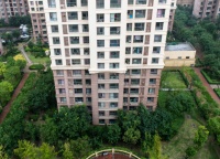 情系居者,塑造有情怀的家