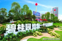 金山《碧桂园大方里》来吧.展示