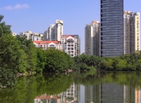 用爱和坚韧,凝成生生不息的力量